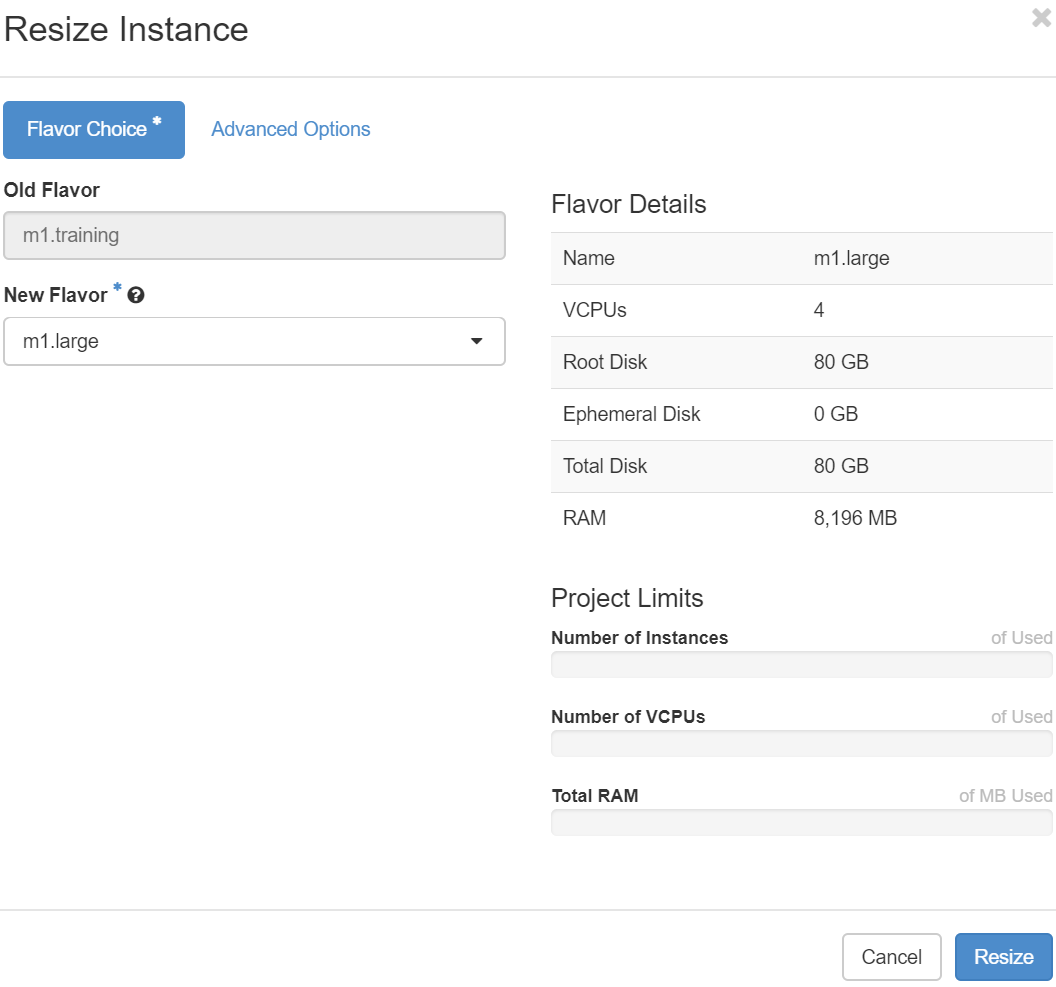 Resize Instance